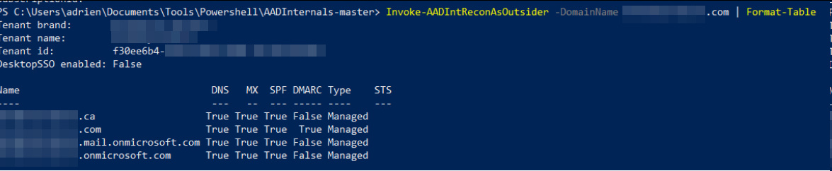 Invoke-AADIntReconAsOutsider Output
